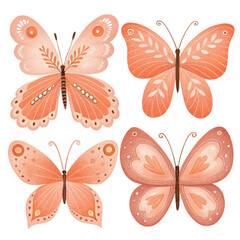 set of beautiful  butterfly