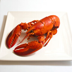 Gourmet Cooked Red Lobster Served on Square White Plate
