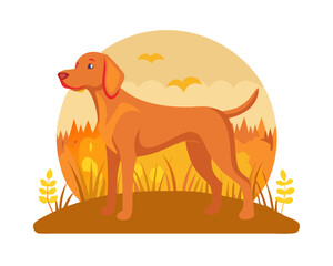 Hungarian hound pointer vizsla dog in autumn time in the field