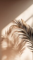 Sunlight Through Palm Fronds Creates Beige Shadows On A Light Beige Wall