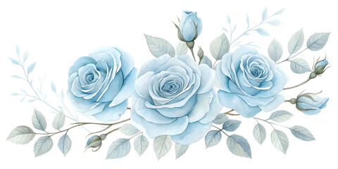 Watercolor illustration of light blue roses isolated on transparent background