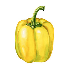 Yellow bell pepper watercolor painting ripe vegetable food illustration healthy organic kitchen art isolated on white