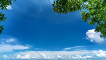 Blank Blue Sky With Fluffy Clouds And Green Tree Branches In The Foreground Providing Copy Space Image
