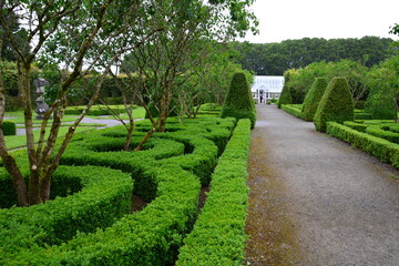 green tree maze