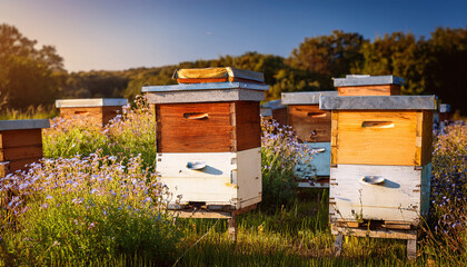 Beehives In An Apiary Outdoors With Wildflower Ai