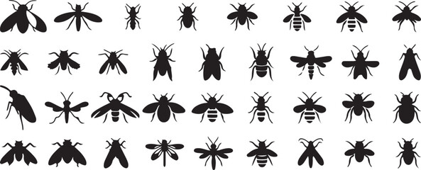 insect silhouette vector, bug outline art, black insect clipart, butterfly fly design, beetle bee artwork, creepy crawlers svg, nature insect icons, wild bug shapes, biology wildlife graphic, entomolo