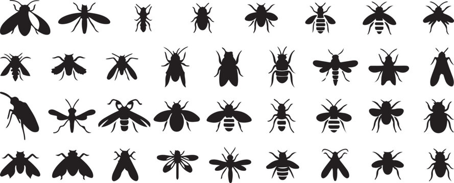 insect silhouette vector, bug outline art, black insect clipart, butterfly fly design, beetle bee artwork, creepy crawlers svg, nature insect icons, wild bug shapes, biology wildlife graphic, entomolo