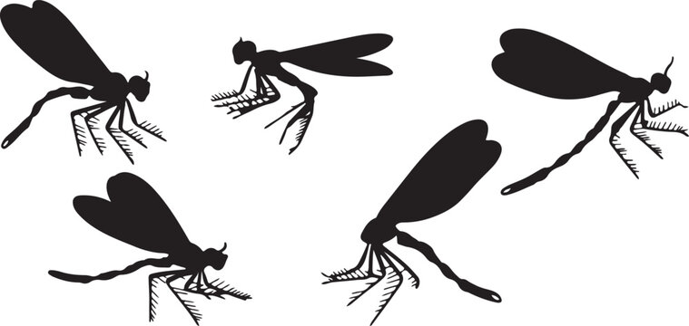 mosquito silhouette vector, insect clipart design, black mosquito art, flying insect svg, pest bug illustration, biology insect graphic, mosquito shape icon, creepy crawly artwork, bloodsucker mosquit