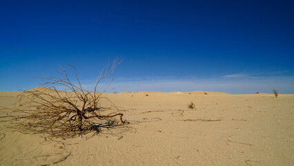 Obraz premium Il deserto del Sahara nella regione di Tezeur, area di Ong Jmal. Tunisia, Nord Africa