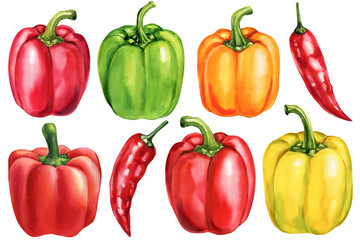 Watercolor peppers set red green yellow orange bell peppers with chili illustration organic fresh vegetables food art isolated
