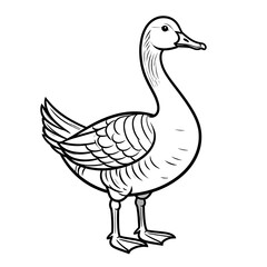 A detailed black and white line drawing of a goose standing upright with its head turned to the right.
