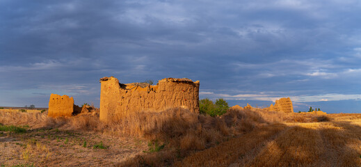 Obraz premium Ancient dovecotes in the Tierra de Campos Region, Palencia Province, Castile and León, Spain, Europe