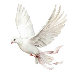 Obraz premium A pristine white dove takes flight, wings outstretched, delicately holding a soft pink ribbon, isolated on transparent background, representing peace and tranquility