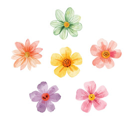 Watercolor Flowers Collection in Pink, Yellow, Green and Purple shades. Hand Painted Botanical Floral Illustrations for Children Illustration, Spring, Summer, Wedding and Nature Design.