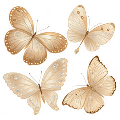 set of beautiful  butterfly