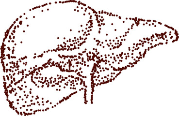 Dot art liver illustration for science design