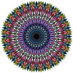 Foral Mandola Pattern Style Flowers Gentle. Hand-drawing Seamless Pattern Design Background.Geometry Seamless Pattern Ethnic Indian Asia Ornament Flowers,Flower Colorful.