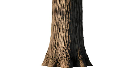 Close up of a textured tree trunk with a wide base.