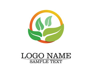 Tree leaf vector logo design, eco-friendly concept.