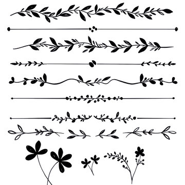Collection of elegant hand drawn floral dividers, decorative borders, and text separator lines for wedding invitations. isolated PNG with Transparent Background