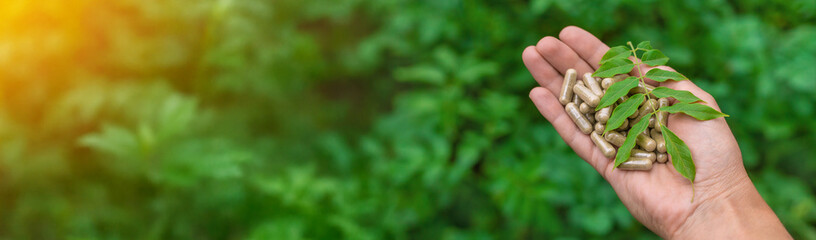 Moringa essential oil and supplements. Selective focus.