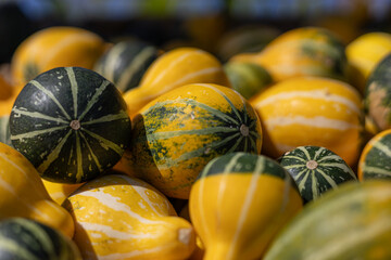 Colorful decorative pumpkins at autumn harvest 