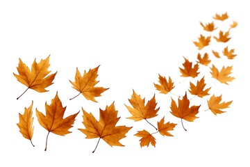 Fototapeta premium Autumn leaves isolated on white background, a beautiful arrangement of fall foliage in warm, vibrant colors