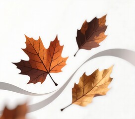 Three autumn leaves of different colors isolated on white background with a ribbon in the background