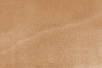 Light Wooden Texture Background – Natural Wood Grain Surface for Interior, Design, and Decoration