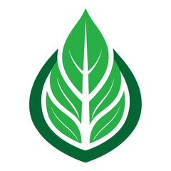 Green leaf logo design with protective border