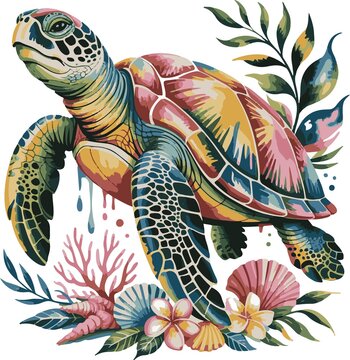 turtle on a white background