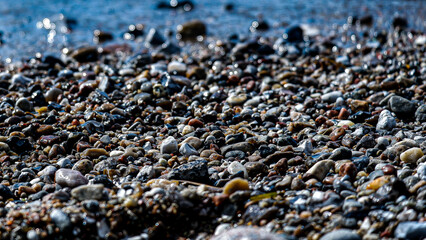 Close-up texture of wet beach pebbles and sand under bright sunlight