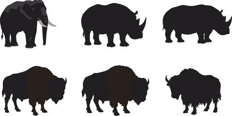 Silhouettes of elephant, rhinoceros, bison, and yak, large wild animals, wildlife illustration, animal shapes, zoology comparison, cad drawing flat vector illustration