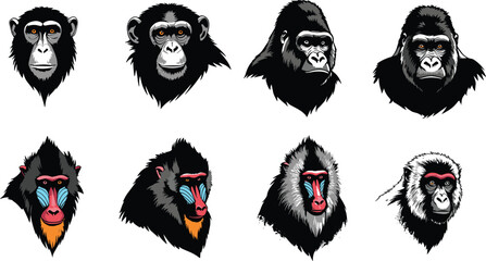 Set of eight primate portraits, chimpanzee gorilla mandrill monkey illustrations, colorful wildlife animal faces, detailed cartoon artwork collection. © Itz Joydip