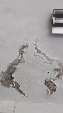 Flat Roof leaked is cause to stain ceiling and wall of building.