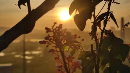 Autumn landscape illustration of a colorful sunset over a forest of tree silhouettes with orange...
