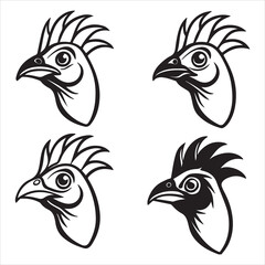 A Vibrant Iridescent Turaco Bird, an Arboreal Crested Species with Unique Pigment Tura cover din, Famous for its Loud Call and Turacin Red Feathers