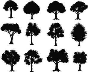 Set tree silhouettes vector illustrations