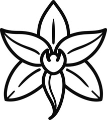 Simple outline of a vanilla orchid flower on a white background