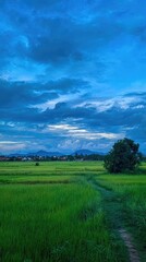 Obraz premium Lush green field, winding path, cloudy blue sky, small village distant