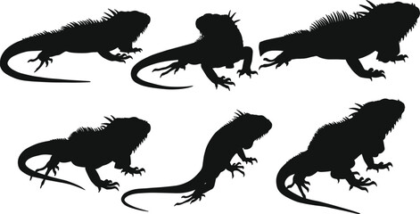 Iguana silhouette, reptile illustration, lizard drawing, exotic animal art, wildlife design, black iguana figure, nature creature artwork, tropical reptile graphic