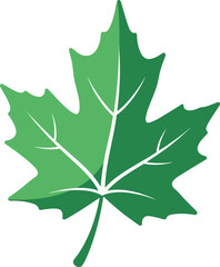 Vibrant green maple leaf detailed veins nature's beauty vector