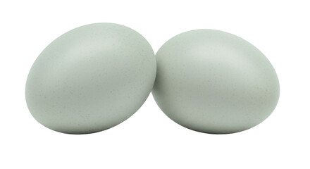 Two light blue duck eggs isolated, fresh farm produce for healthy eating and Easter decorations