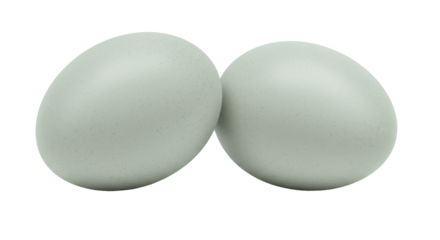 Two light blue duck eggs isolated, fresh farm produce for healthy eating and Easter decorations