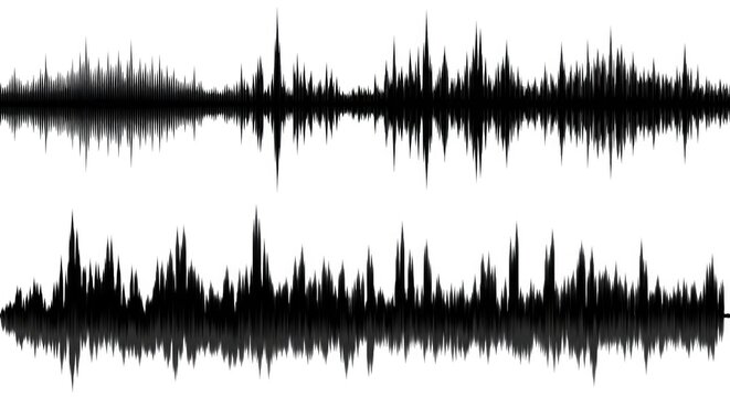 Black podcast sound wave patterns with varied amplitude bars for audio visuals. Digital frequency lines on white background for music apps, recorders, or broadcast design.

