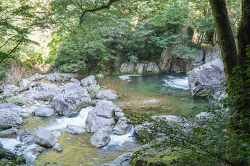 夏の三段峡 広島県安芸太田町