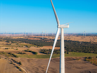 Detailed aerial view of wind turbine in front of expansive wind farm over agricultural fields at sunrise, representing sustainable renewable energy technology and environmental harmony