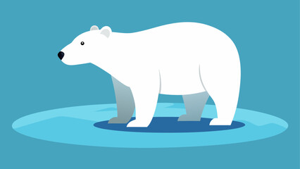 Polar bear standing on a small iceberg