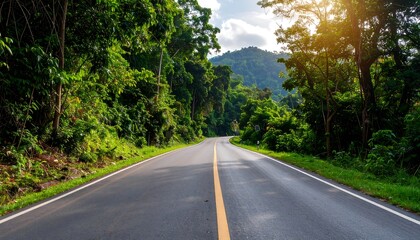 Fototapeta premium Winding road through lush green forest