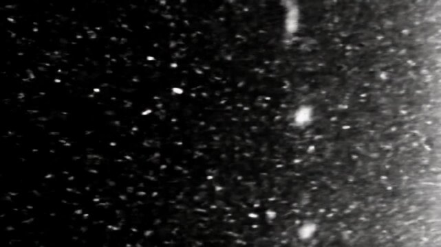 Abstract white film grain, dust motes, scratches, and static noise flicker organically on a deep black background, evoking aged 35mm film. Raw vintage aesthetic concept
